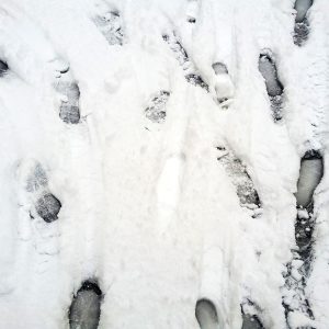 Footprints on The Snow #1 NFT