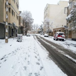 Snowfall on The Street #1 NFT