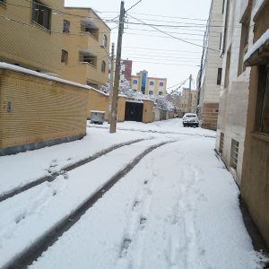 Snowfall on The Street #2 NFT