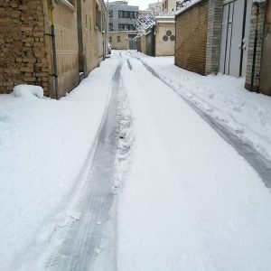 Snowfall on The Street #3 NFT