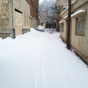 Snowfall on The Street #5 NFT